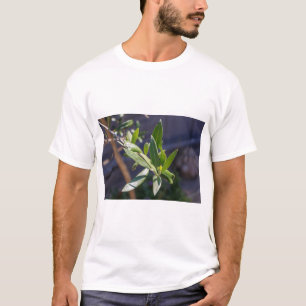 Camiseta Hojas de olivo