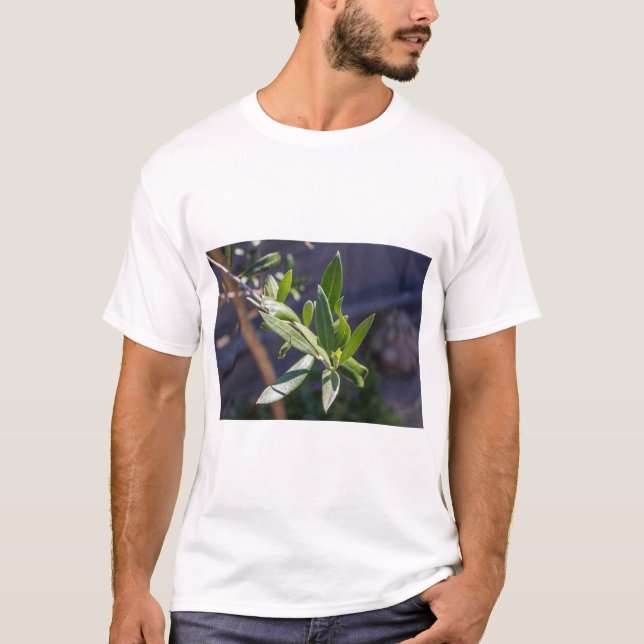 Camiseta Hojas de olivo (Anverso)