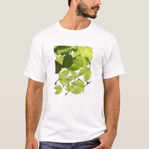 Camiseta Hojas de vid de uva verde