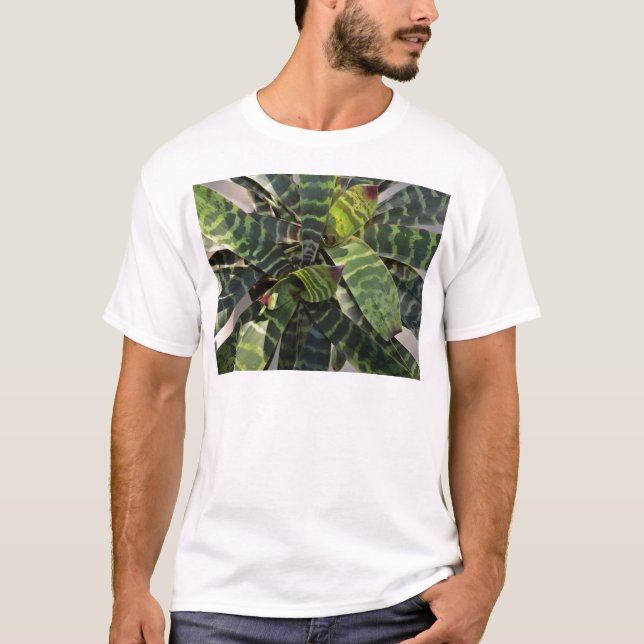Camiseta Hojas rayadas planta de Vriesea Splendens (Anverso)