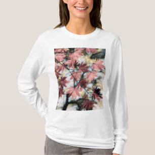Camiseta Hojas rusas de arce de arce rojizo rosado oxidado