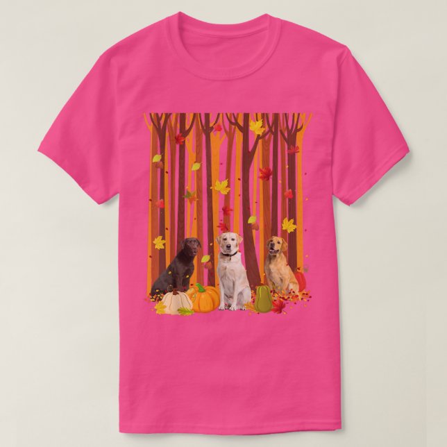 Camiseta Hola Otoño Labrador Maple Leaf Fall Pumpkin Mens (Diseño del anverso)