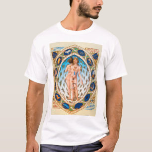 Camiseta Hombre anatómico