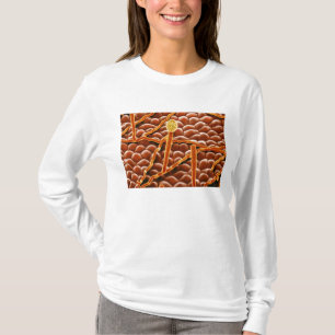 Camiseta Hongo del moho polvoriento en Poinsettia
