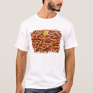 Camiseta Hongo del moho polvoriento en Poinsettia
