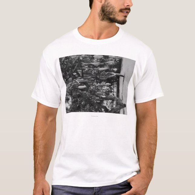 Camiseta Honolulu, HI - universidad de Hawaii (Anverso)