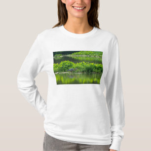 Camiseta Hora de la comida del cangrejo