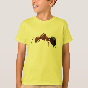 Camiseta Hormiga de fuego