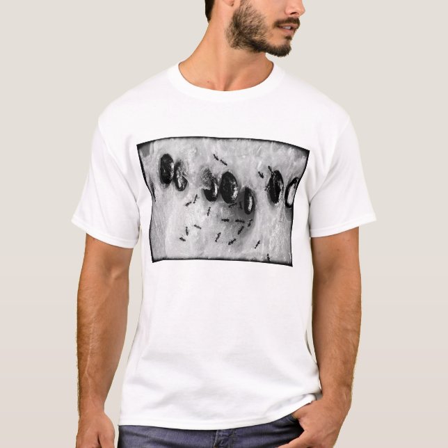 Camiseta hormigas surfeando (Anverso)
