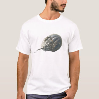 Camiseta Horseshoe IBSP