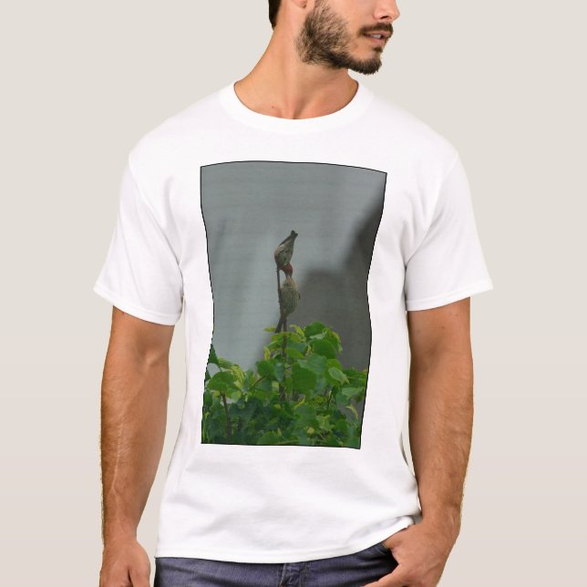 Camiseta Housefinch Courthip #1 (Anverso)