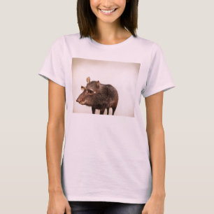 Camiseta ¿Hoy hace sol?