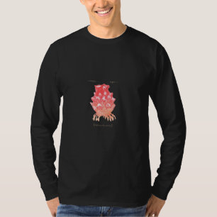 Camiseta Hoya Sea Squirt