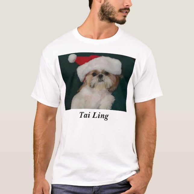 Camiseta HPIM0360, Tai Ling (Anverso)