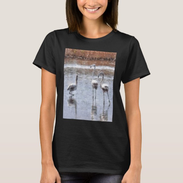 Camiseta Huelga A Pose Flamingo Watercolor 1 (Anverso)