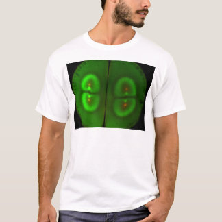 Camiseta Huevo fertilizado de la rana
