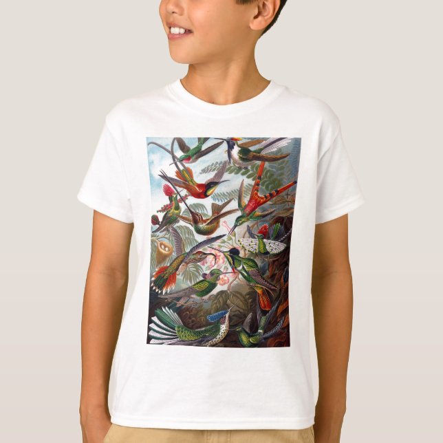 Camiseta Hummingbird (Anverso)