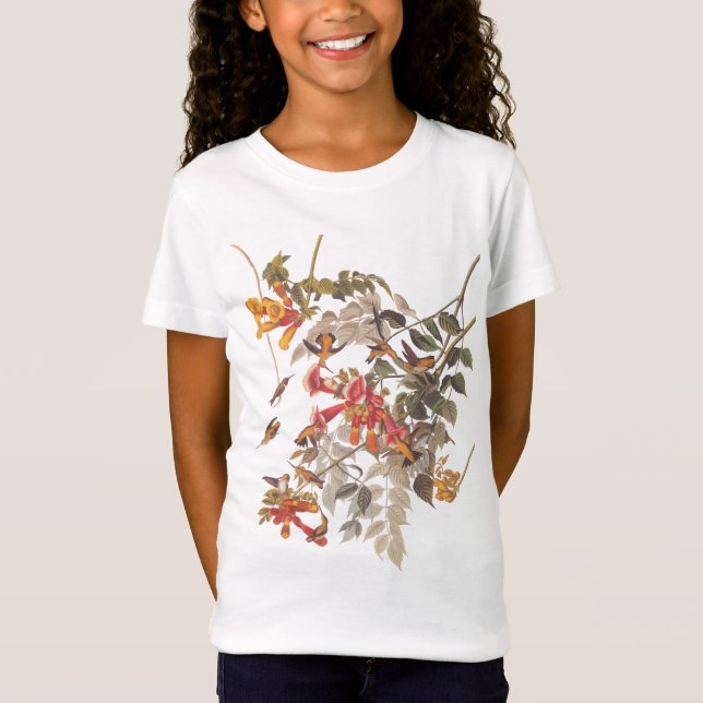 Camiseta Hummingbird Audubon Plate 47 (Anverso)