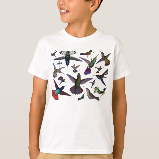 Camiseta Hummingbirds vintage (Anverso)