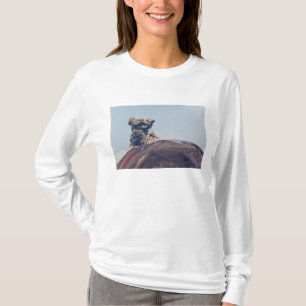 Camiseta Humo escapando del volcán activo Anak Krakatau