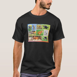 Camiseta Humor Perro del dueño del Mascota de Chihuahua, qu
