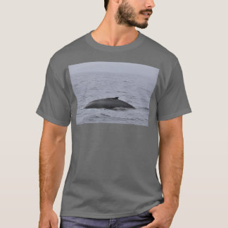Camiseta Humpback sale del agua