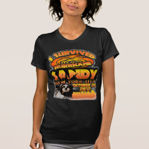 Camiseta Huracán Sandy, New York City