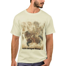 Húsar con alas polaco