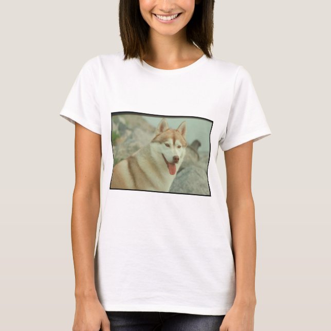 Camiseta Husky siberiano rojo (Anverso)