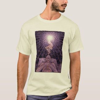Camiseta huxley gris/aldous de Alex