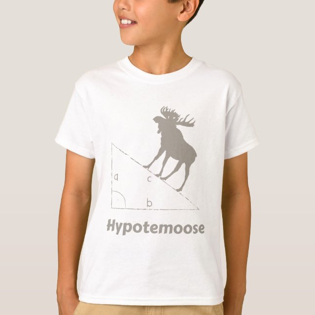 Camiseta Hypotemoose Math Geek (Anverso)