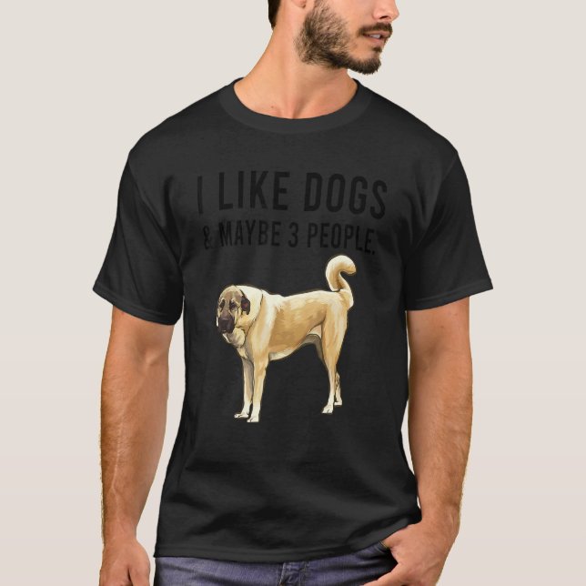 Camiseta I Like Anatolian Shepherd Dogs And Maybe 3 People (Anverso)