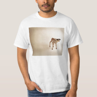Camiseta I´m más apuesto que usted