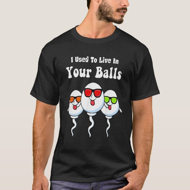 Camiseta I Used To Live in Your Balls Funny, Silly Father's (Anverso)
