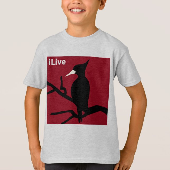 Camiseta IBWO: iLive (Anverso)