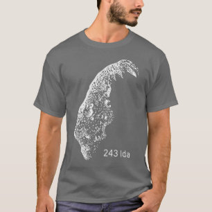 Camiseta Ida 243