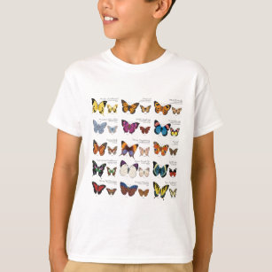 Camiseta Identificación de la mariposa