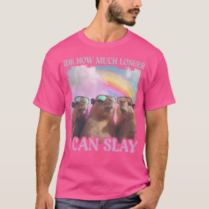 Camiseta Idk Cuánto Tiempo Más Puedo Pegar Capibara