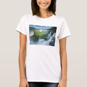 Camiseta Igauzu baja en la Argentina
