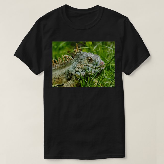 Camiseta Iggy la iguana (Diseño del anverso)