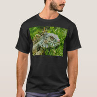 Iggy la iguana