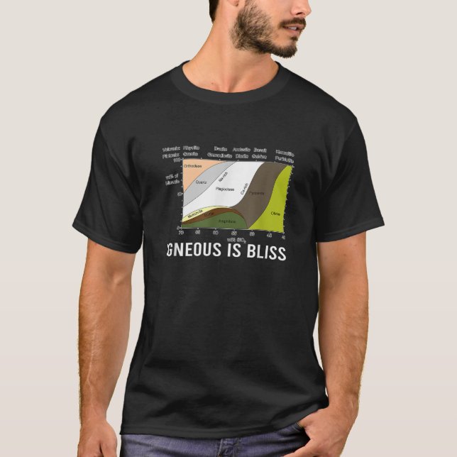 Camiseta Igneous Is Bliss Geology Rock Geek Humor Forest Ro (Anverso)