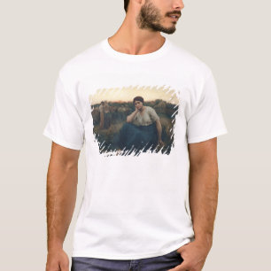 Camiseta Igualación, 1860