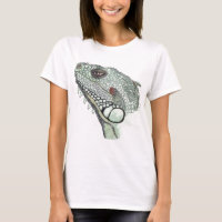 Iguana
