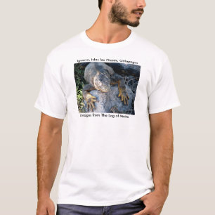 Camiseta Iguana, plazas de los las de Islas, las Islas