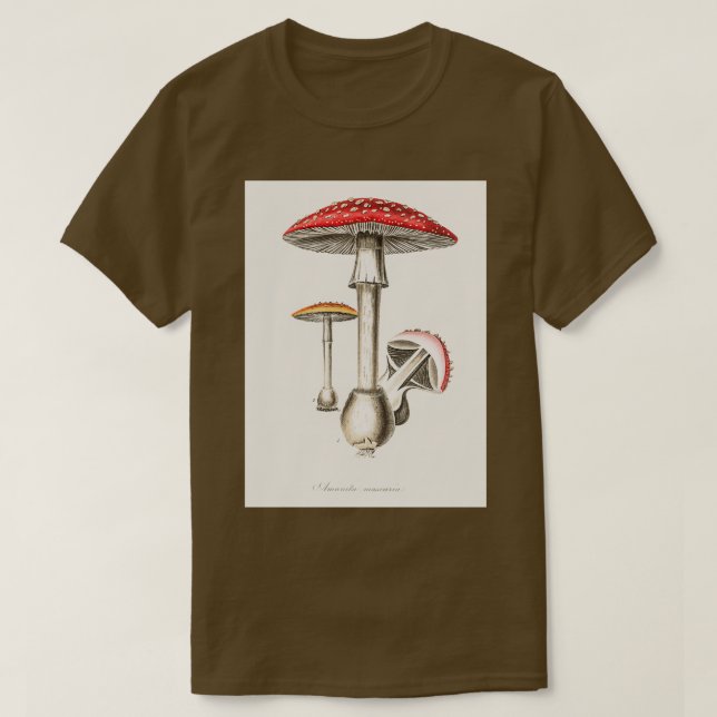 Camiseta Ilustracion Amanita muscaria de la Botánica Médica (Diseño del anverso)