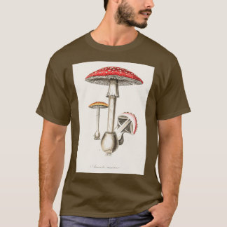 Camiseta Ilustracion Amanita muscaria de la Botánica Médica