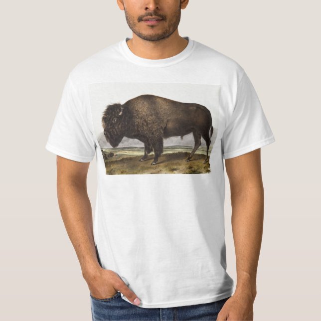 Camiseta Ilustracion americano Bison (Bos Americanus) (Anverso)