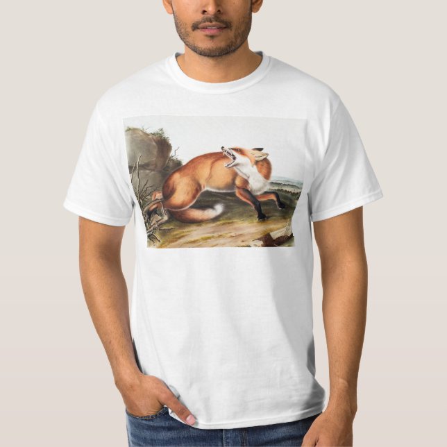 Camiseta Ilustracion americano de Fox Roja (Vulpes Fulvus) (Anverso)