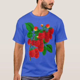 Camiseta Ilustracion botánico de frambuesa vintage